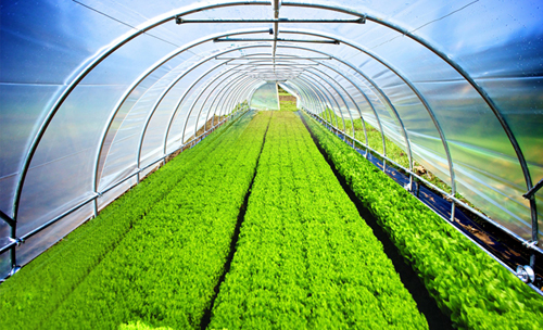Agricultural Film || SHOUMAN